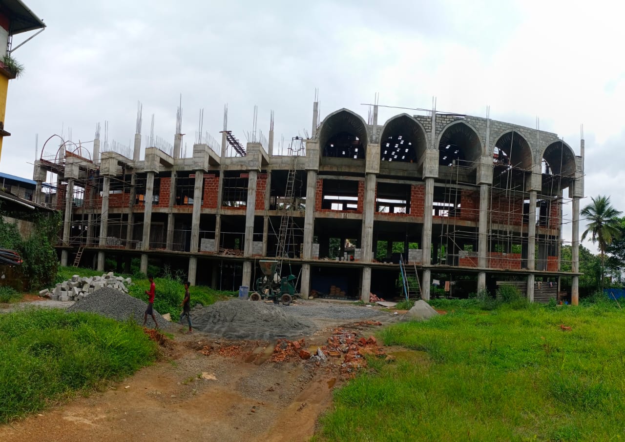 Brain Builders and Developers