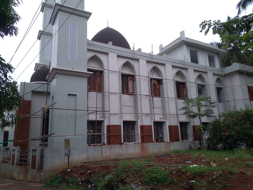 Brain Builders and Developers