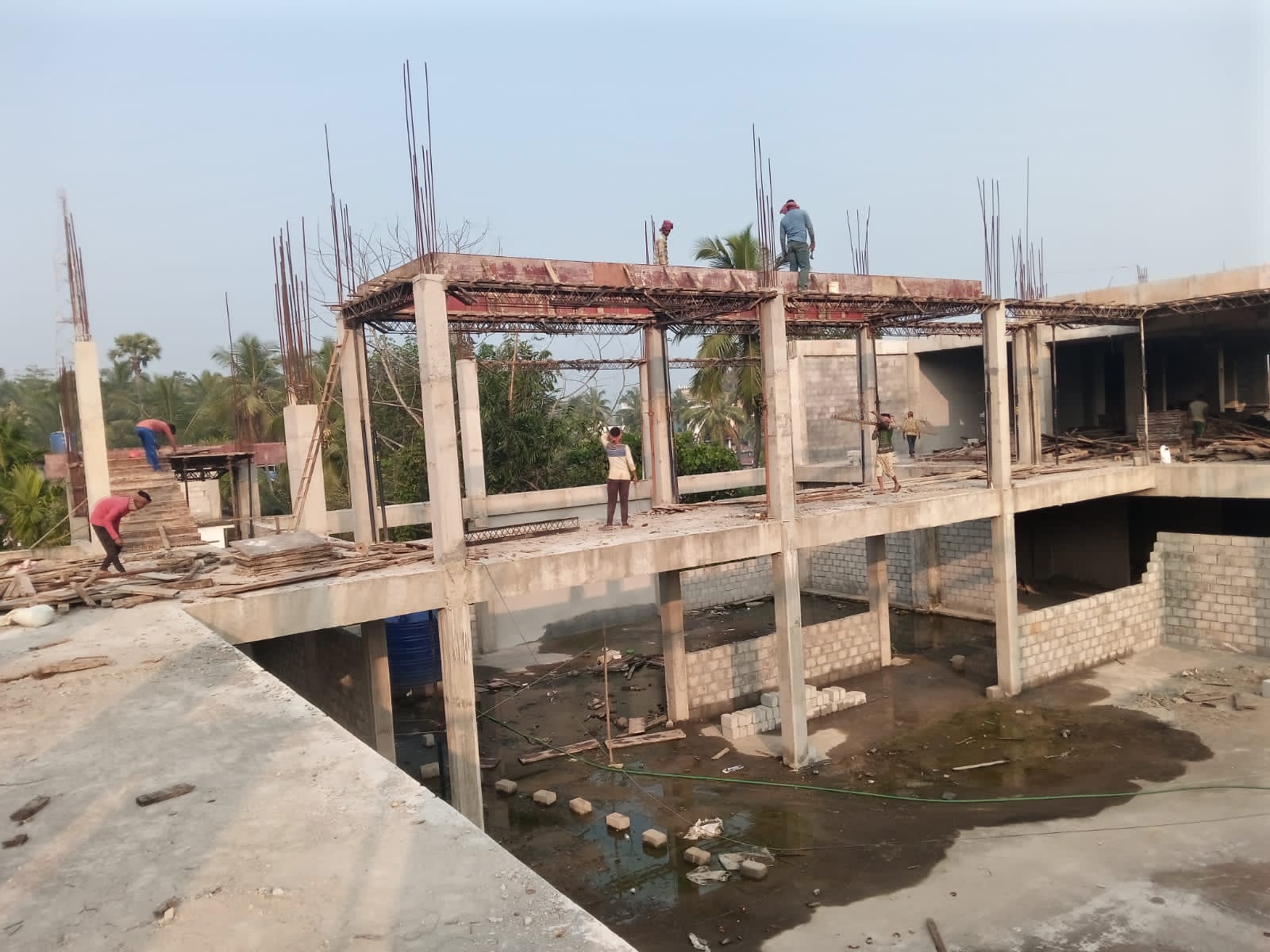 Brain Builders and Developers