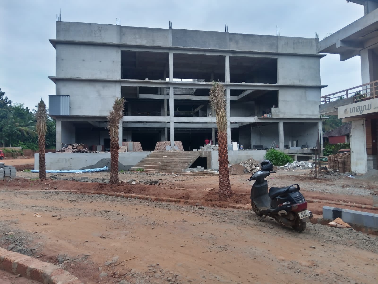 Brain Builders and Developers